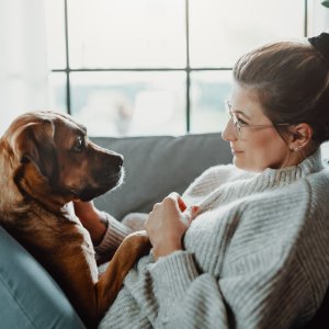 Umzug_Frau_Hund