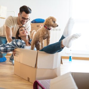 Umzug_Paar_Hund